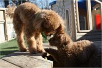 daycare pic 142
